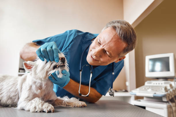 Best Emergency Wisdom Tooth Extraction in Stratford, CA